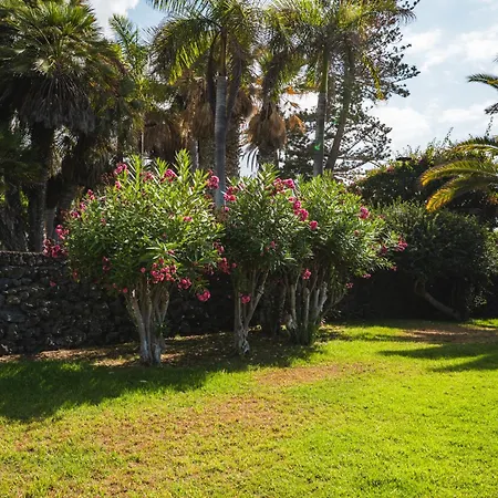 Appartement Enchanting And Centric Flat - Puerto de la Cruz (Tenerife)