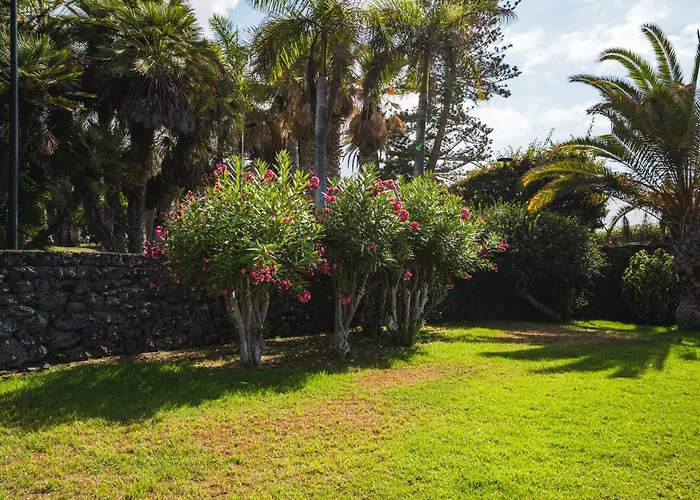 Lägenhet Enchanting And Centric Flat - Puerto de la Cruz (Tenerife)